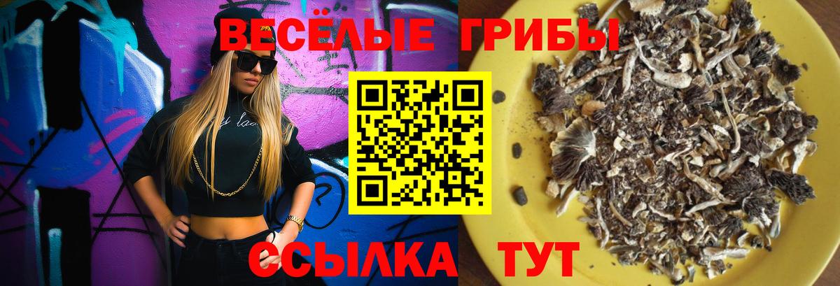 Псилоцибиновые грибы Magic Shrooms Соликамск