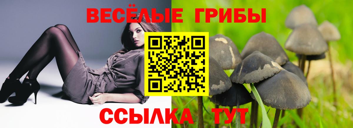 Псилоцибиновые грибы мицелий  Вход с VPN  Соликамск 